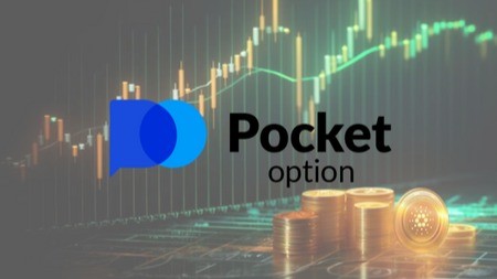 The Evolution of Pocket Option A Comprehensive Guide